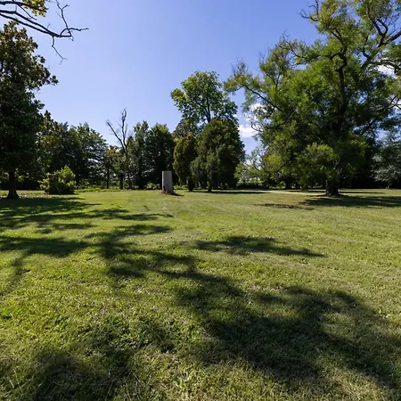 Winery Vitas - App- 4 By Interhome Lägenhet *